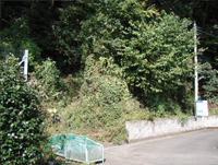 施行前